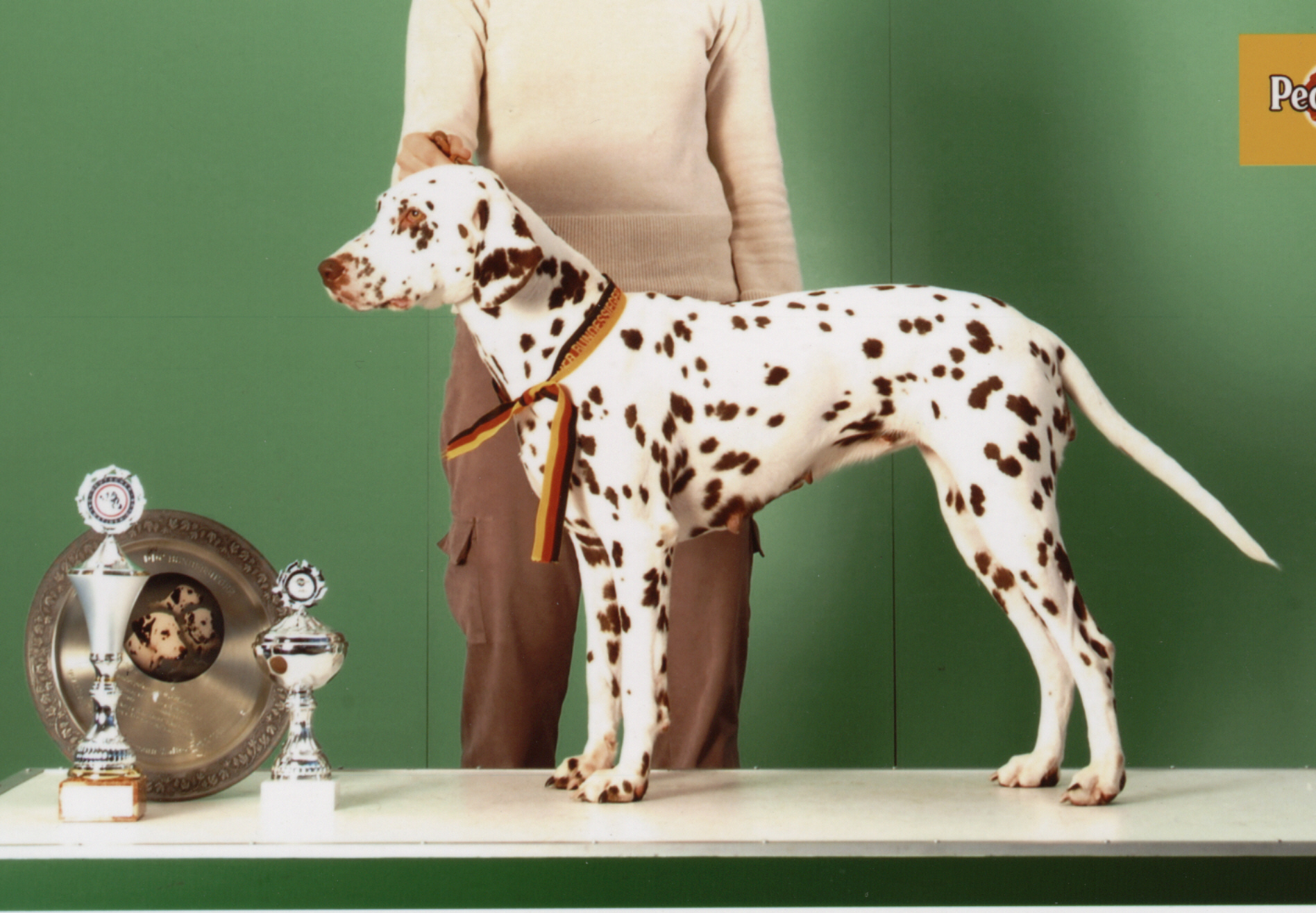 Indy von Reinhold's H&uuml;sung