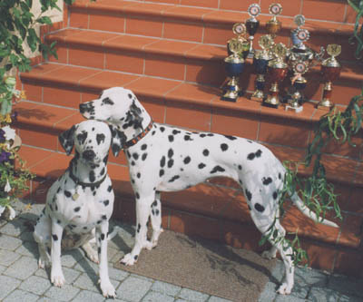 Orania vom Schleihof und Avianca von Scheßlitz