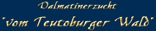 Dalmatinerzucht "vom Teutoburger Wald" seit 1994 VDH geschtzt, Mitglied im DDC/VDH